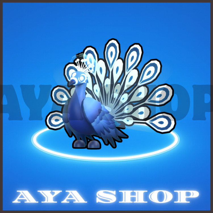 Moonbeam Peacock – Fast & Easy Delivery