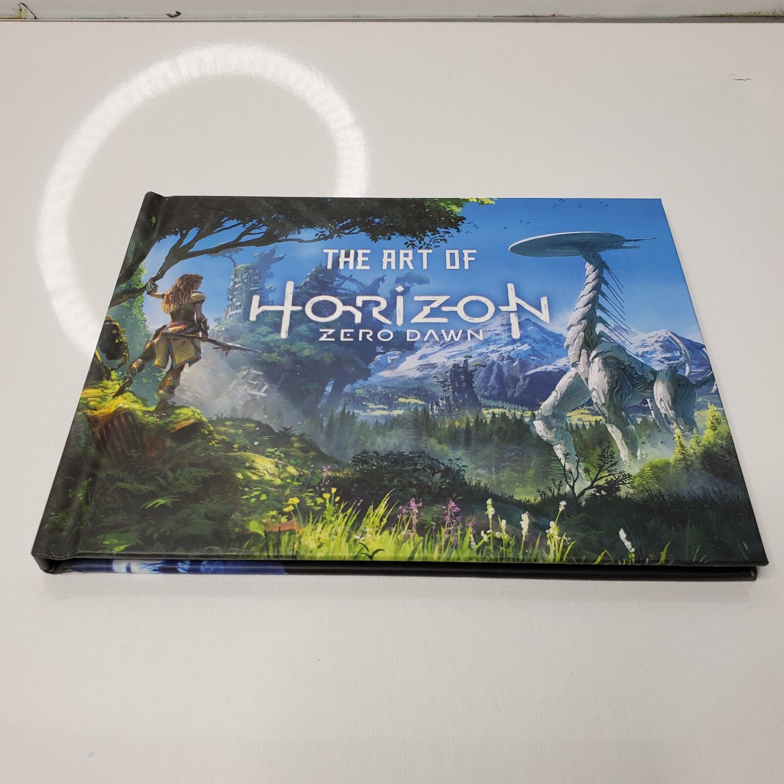 Horizon Zero Dawn : Aloy Collector’s Edition