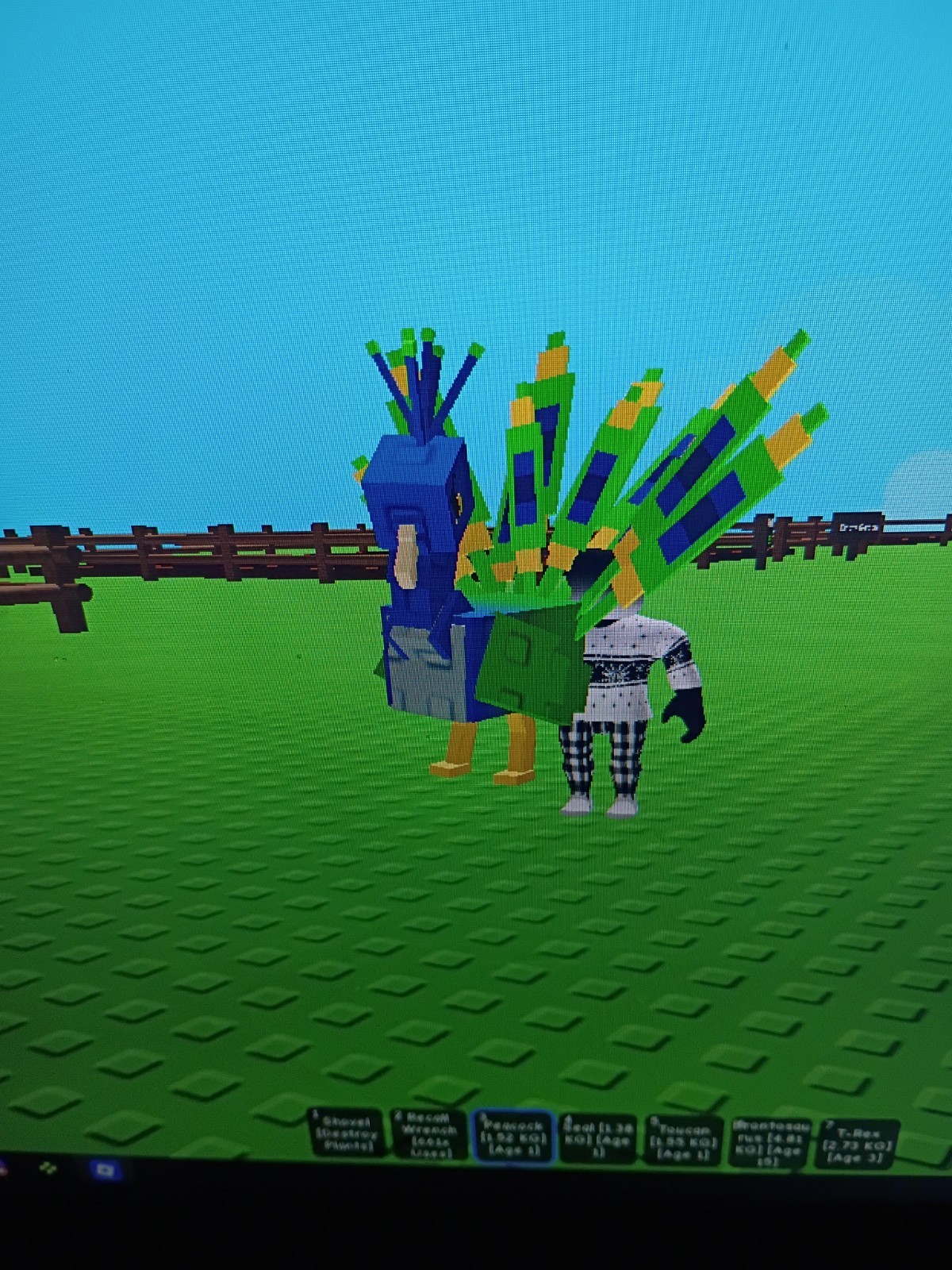 Roblox Grow A Garden Peacock