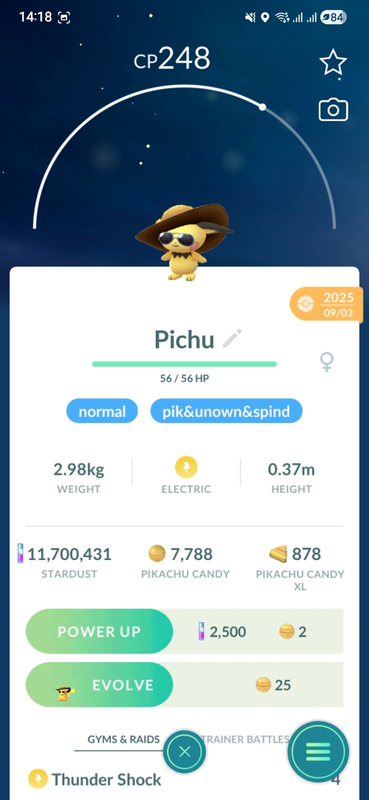 Pichu ( Summer Hat Style ) Pokemon Fast Same Day Go
