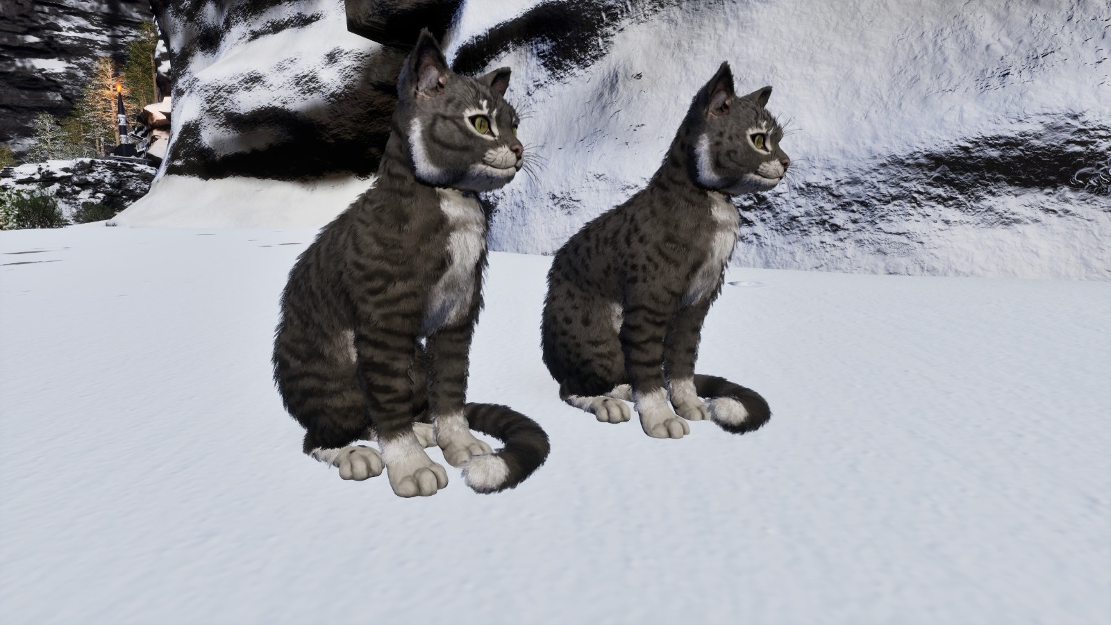 🔥​ARK Survival Ascended PvE Cat Top Stats 722 Melee