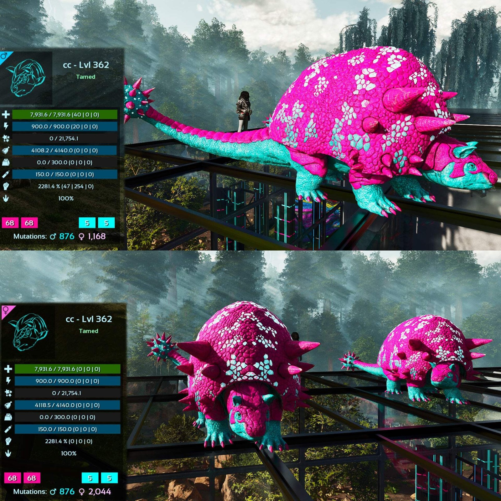 ASA PVE 🦖ARK Survival Ascended Aberrant Doedicurus Doedi 2281.4%Melee Top