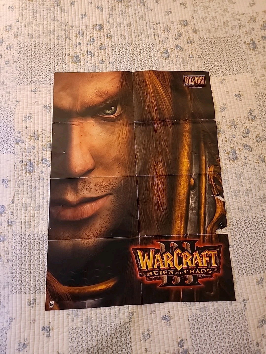 2002 Warcraft III Reign of Chaos Blizzard Entertainment Development Team Poster