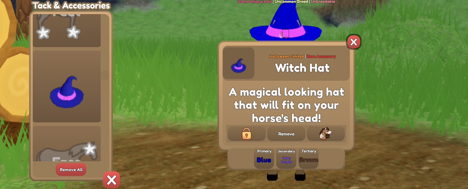 Wild Horse Islands Witch Hats | Please Read Description
