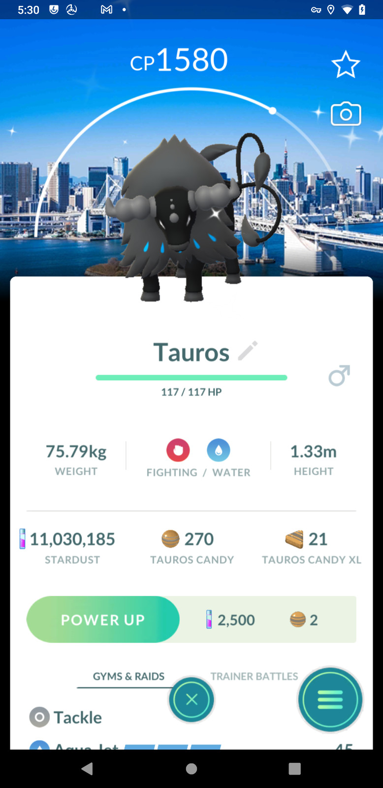 Shiny Paldean Tauros (Aqua ) Back-Ground Tokyo GoFest – Tr-de 1m – 20k stardust