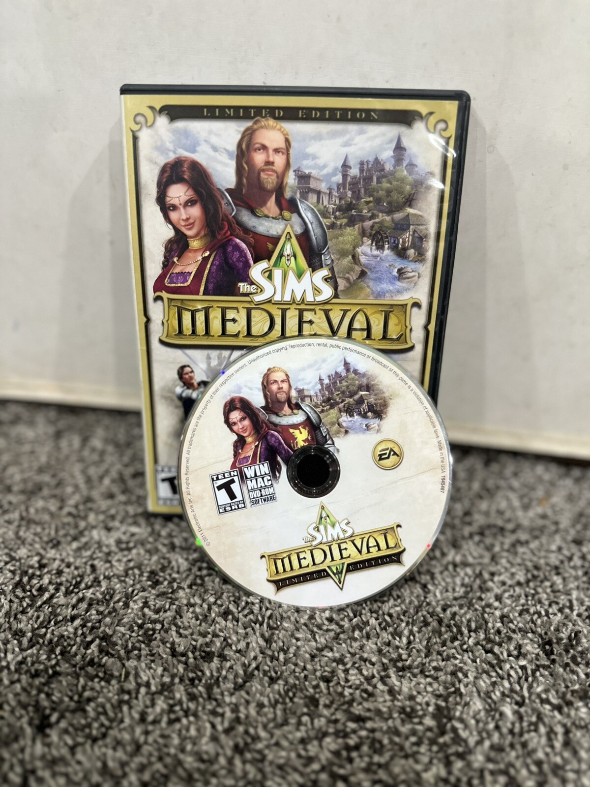 The Sims Medieval