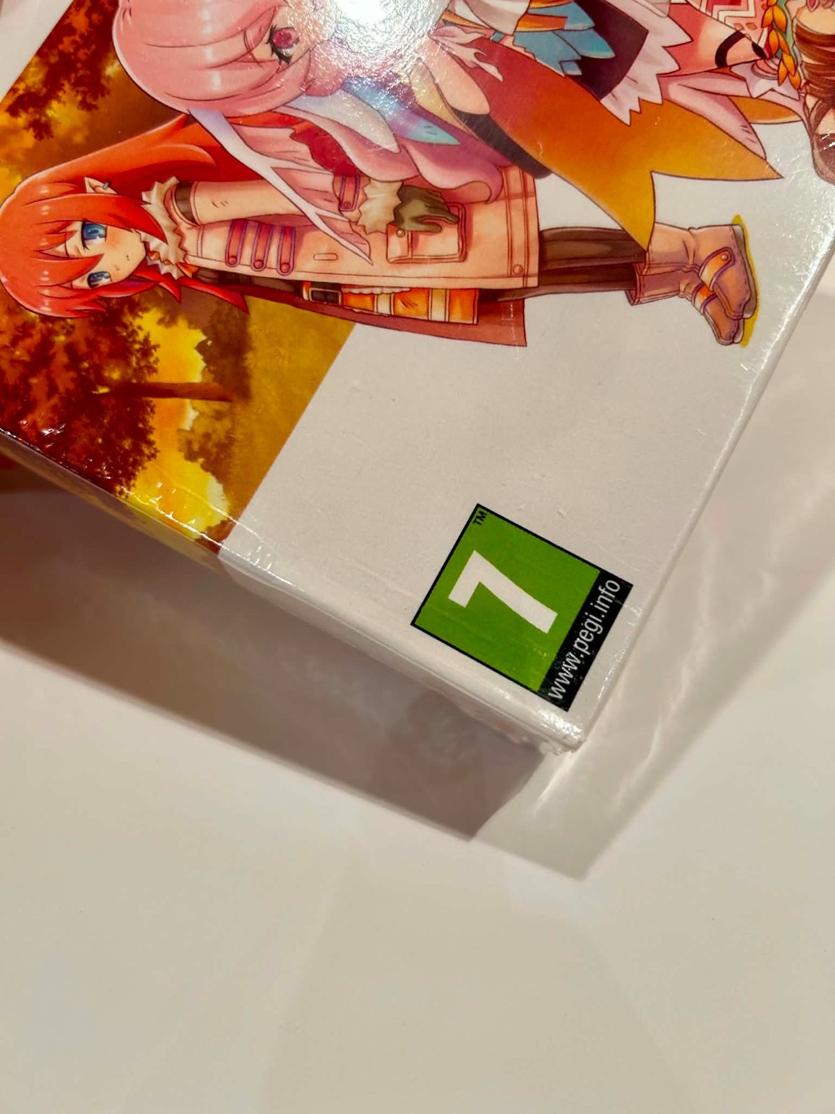 Rune Factory 3 Special Limited Edition PAL Region Free Switch Box Damage