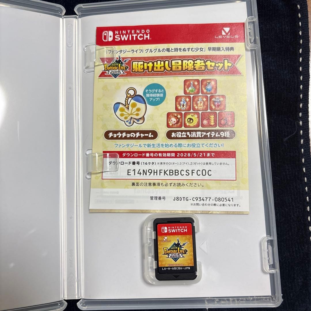 Nintendo Fantasy Life i Dragon and Girl Who Steals Time NTSCJ Japan Import