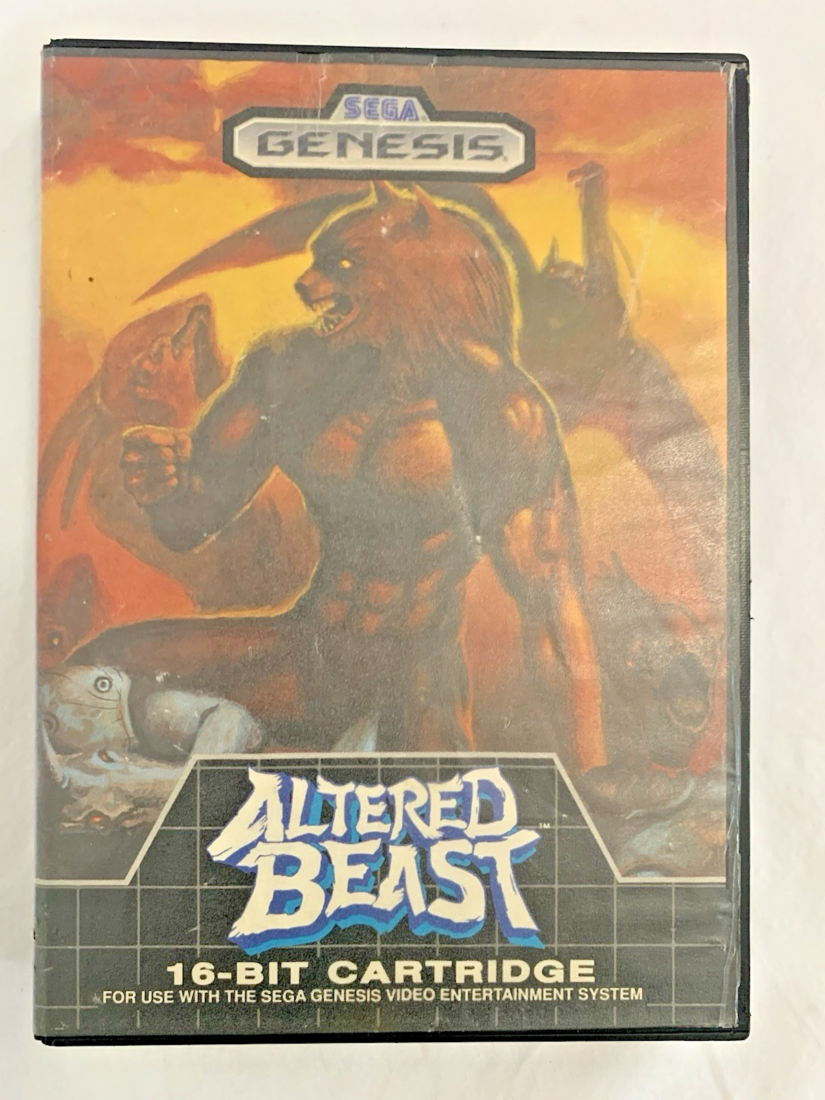 SEGA Genesis Altered Beast VINTAGE 1989 fighting 16-Bit Cartridge *UNTESTED*