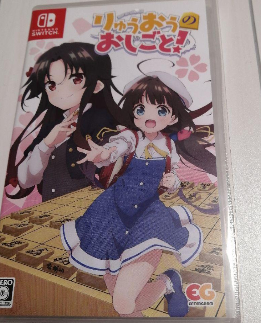 Nintendo Switch The Ryuo’s Work is Never Done! From Japan (Used) (Good condition
