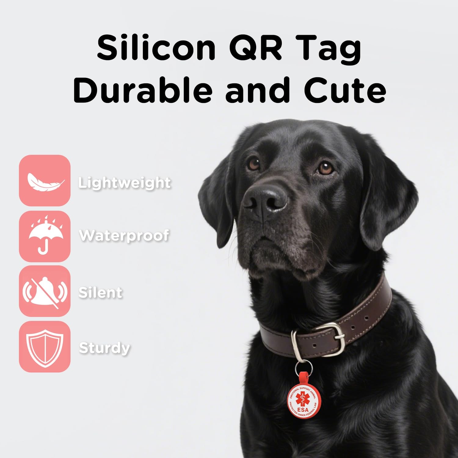 ESA Dog Tag, QR Code Modifiable Free Pet Online Profile, Small, Red