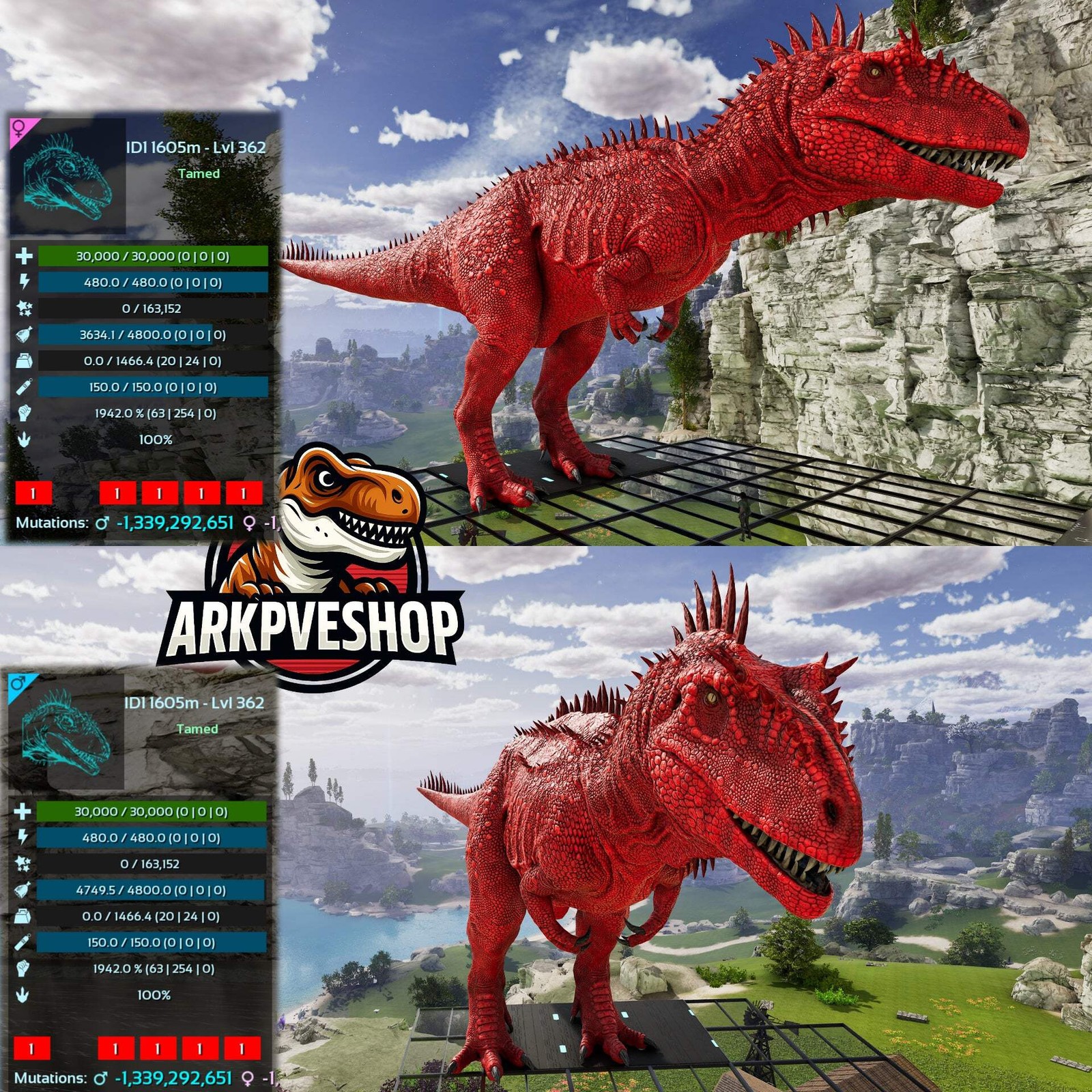 ASA PVE 🦖ARK Survival Ascended Carcharodontosaurus Carcha 1942%melee Imprinted