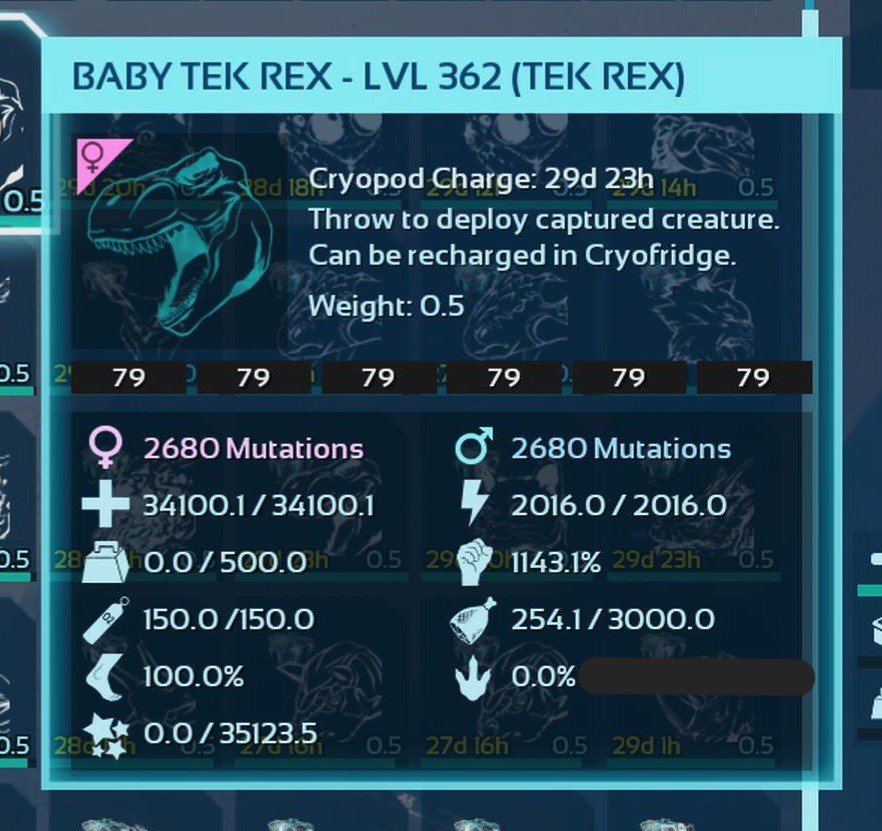 TOP TEK REX BLACK ID79 BABY PAIR ARK ASCENDED PVE. PC/XBOX/PS5.