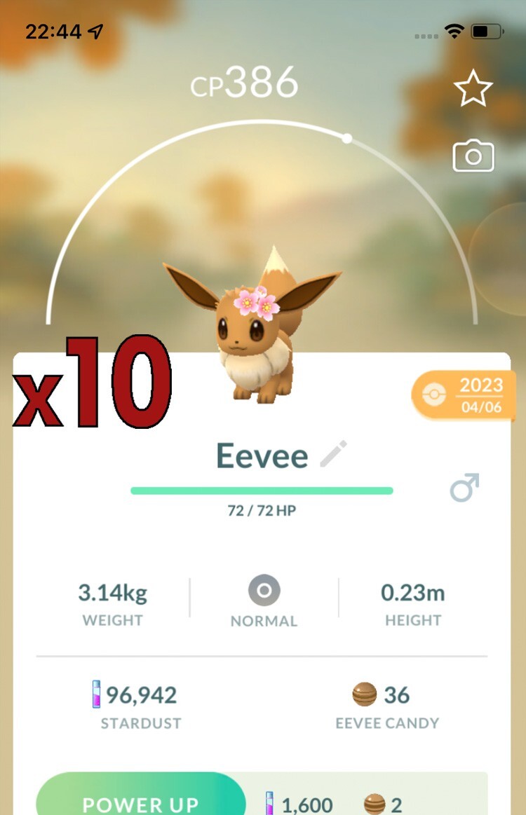 Pokemon TRADE – 10x Eevee with Flowers (2023) ! Good Chance of Lucky and Good IV