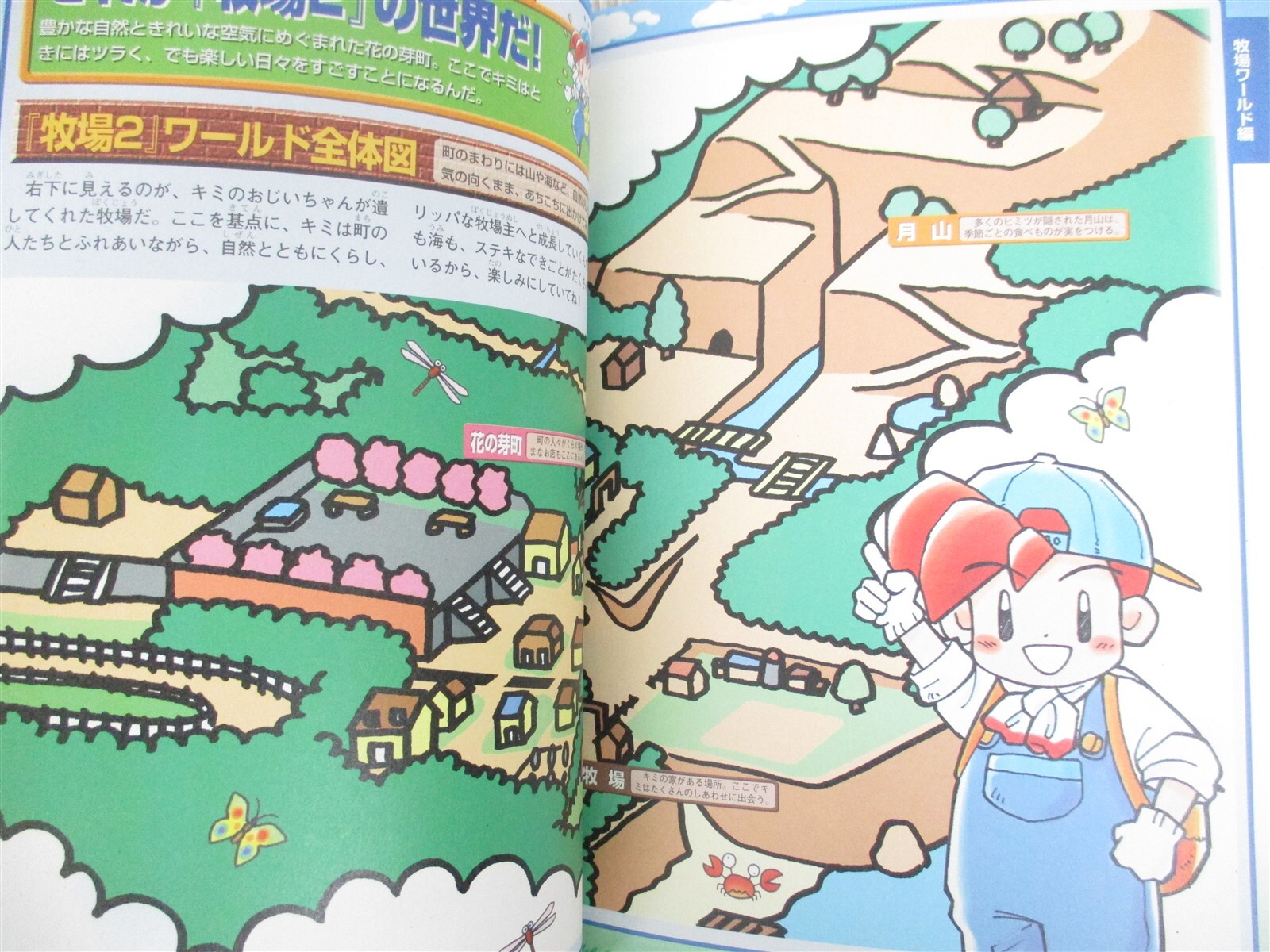 BOKUJOU MONOGATARI 2 Harvest Moon Guide Nintendo 64 Book 1999 Japan MW