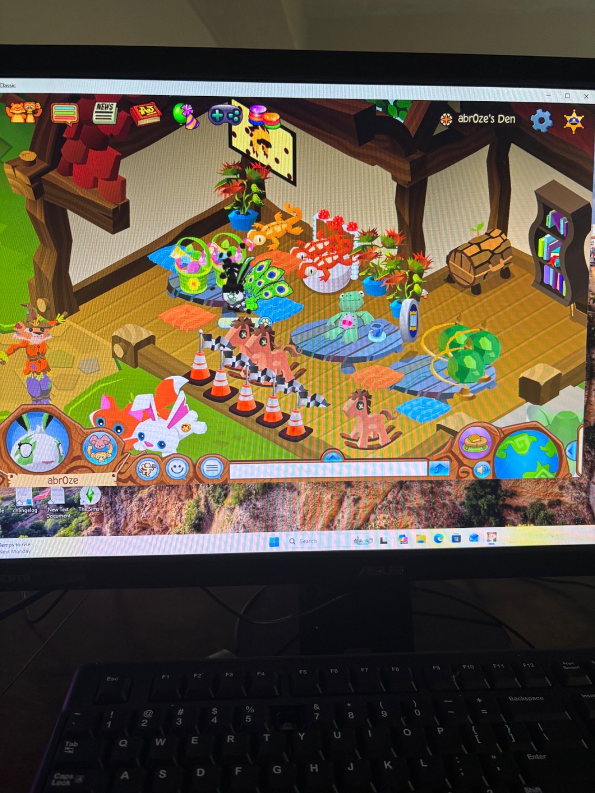 animal jam classic account