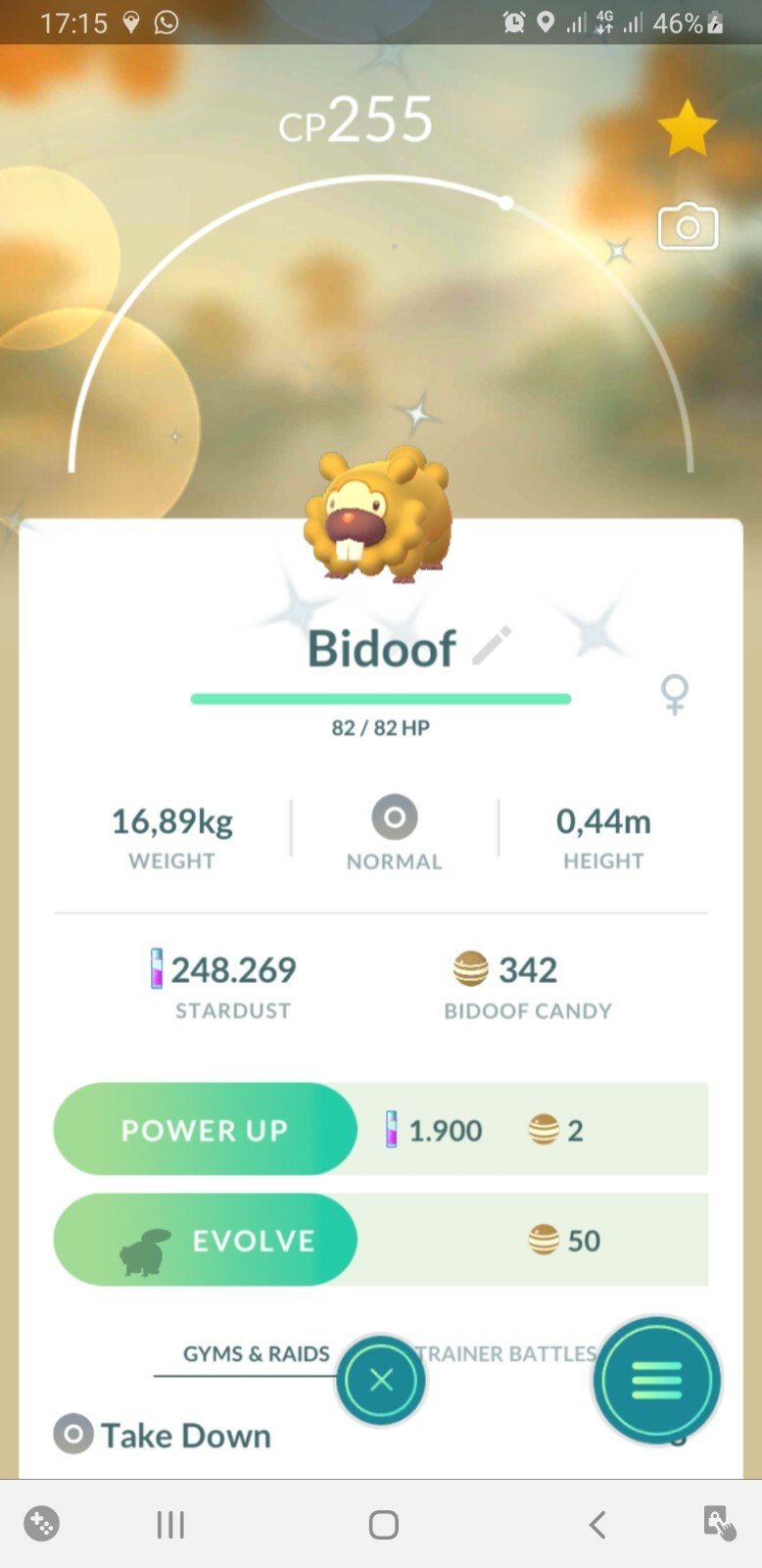 ✨Pokèmon Go, shiny Bidoof, 30 days trade or registered✨