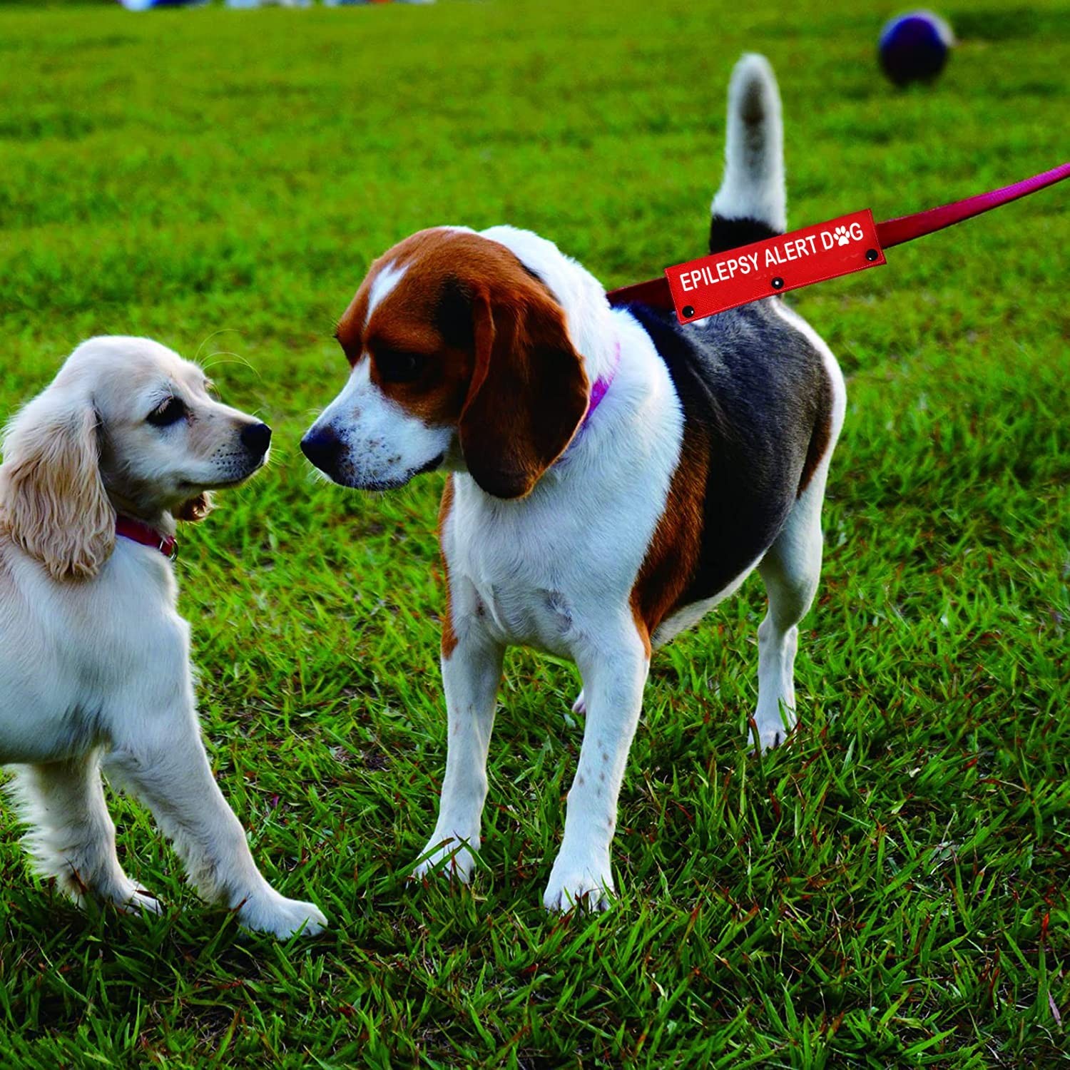 Emergency Medical Dog Leash Sleeve 8.7*2.4 inches, Epilepsy Alert-sleeve