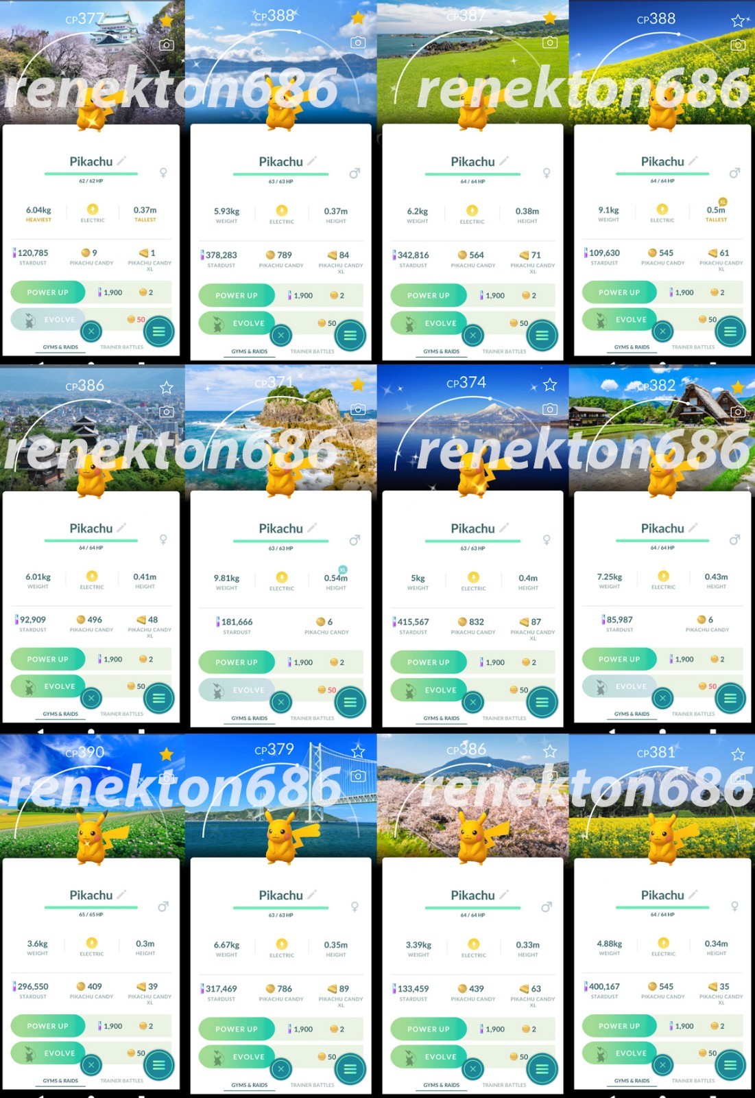 Shiny Pikachu Stamp Rally Background Japan P T C