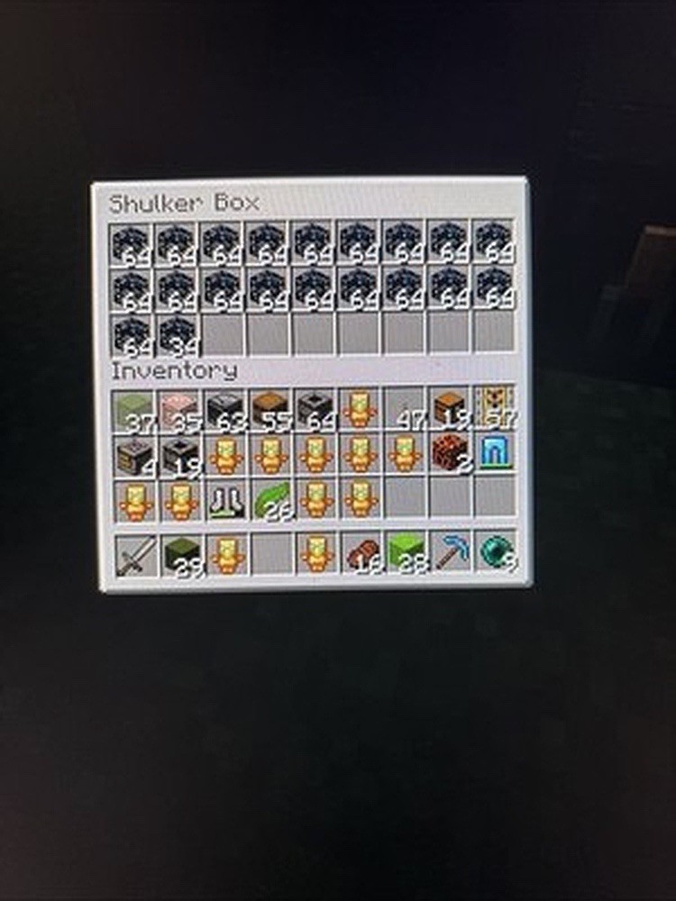 DonutSMP CLEAN Skeleton Spawner