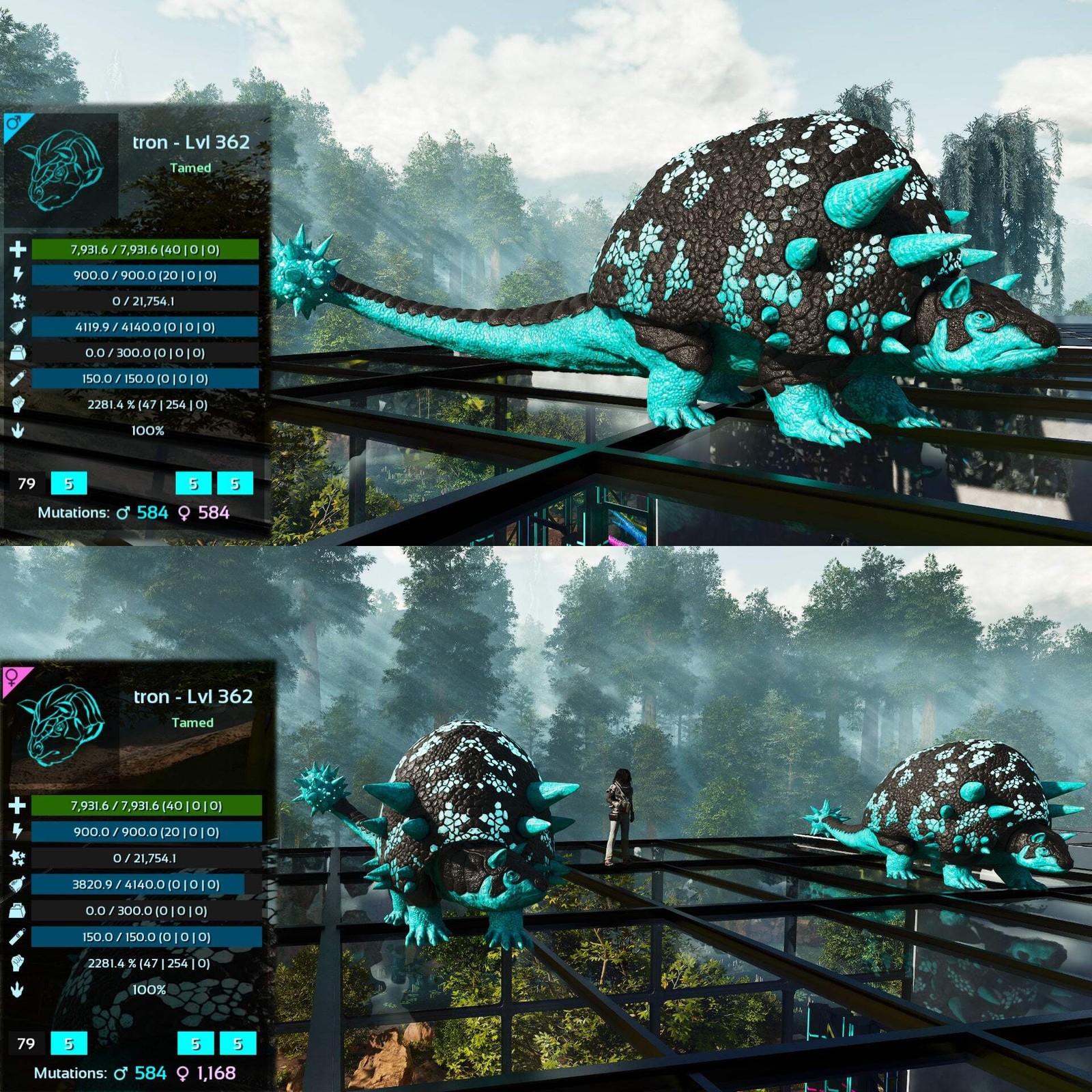 ASA PVE 🦖ARK Survival Ascended Aberrant Doedicurus Doedi 2281.4%Melee Top
