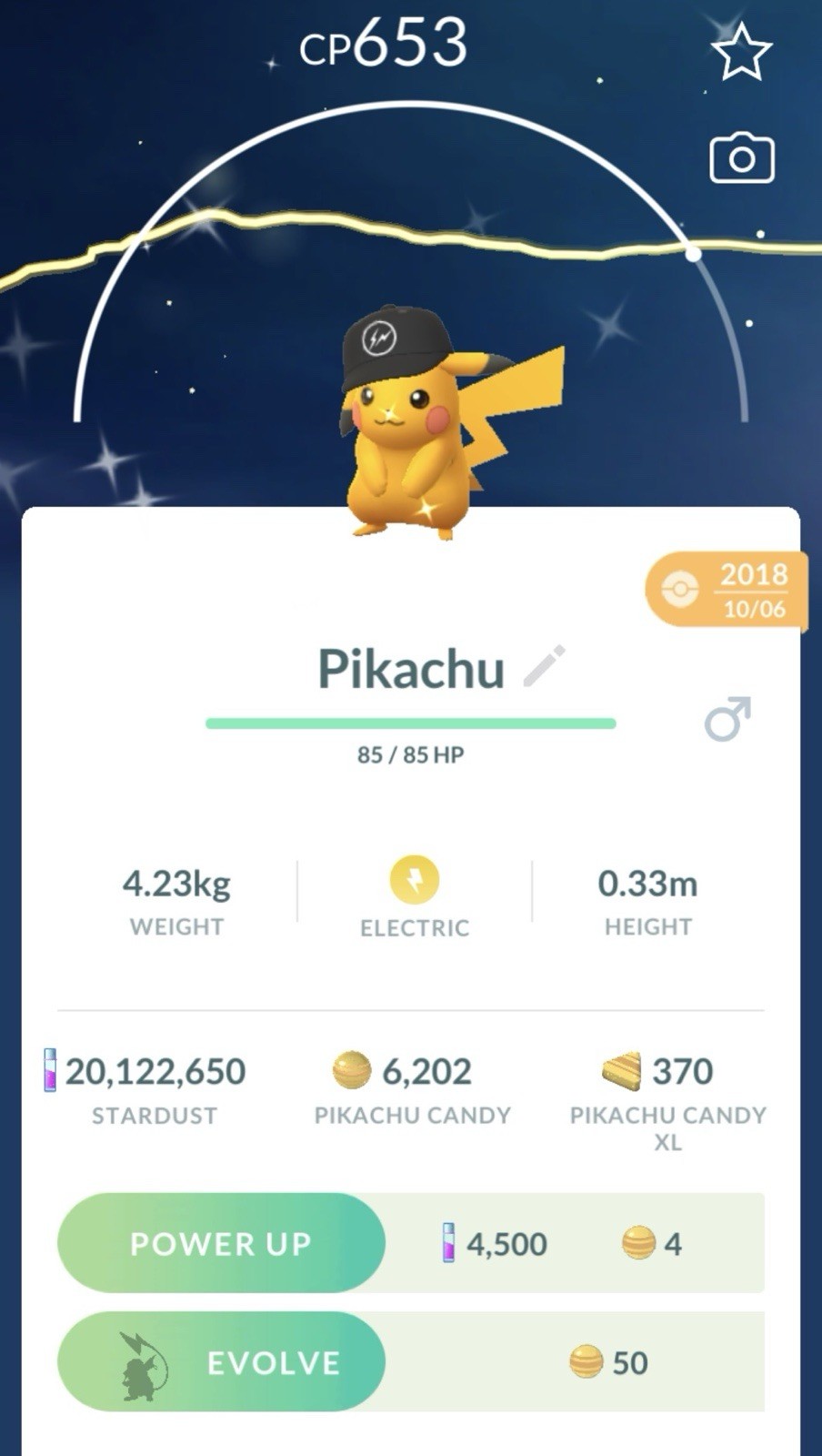 Shiny Lucky Pikachu Fragment Hat✨Pokémon✨ ✨MALE✨ Rare!