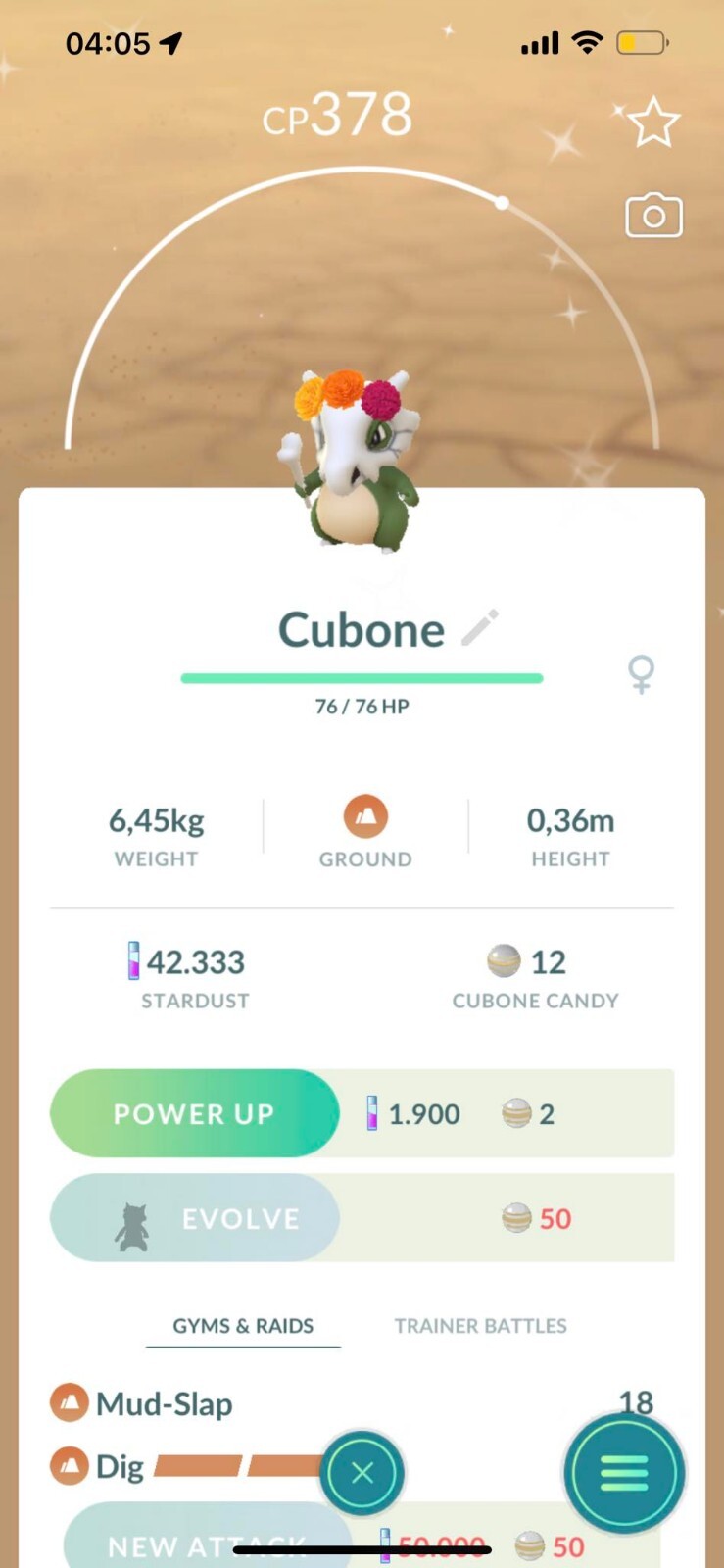 Shiny Cubone wearing a cempasúchil crown flower costume – TRADE 20kStardust
