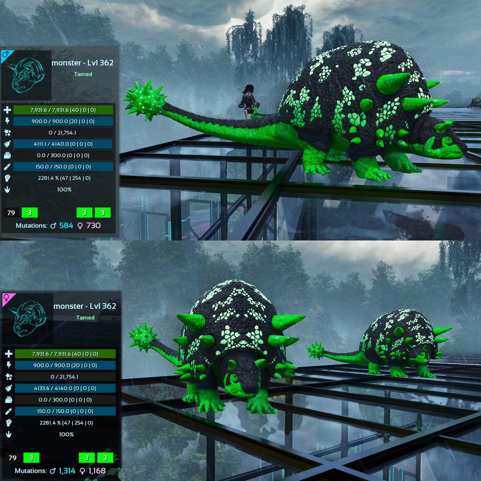 ASA PVE 🦖ARK Survival Ascended Aberrant Doedicurus Doedi 2281.4%Melee Top
