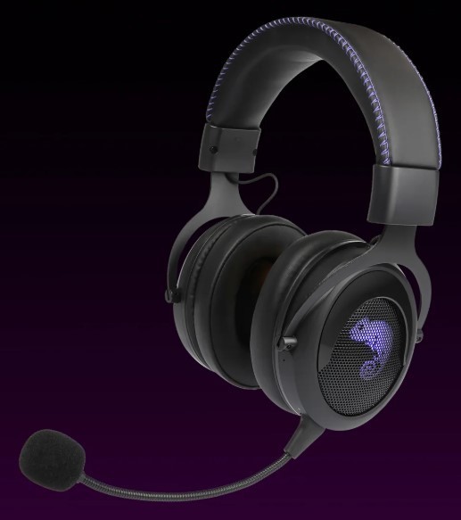Brook Gaming US 2.4GHz Wireless Headset: Cross-Platform Gaming Headset Ver.2026