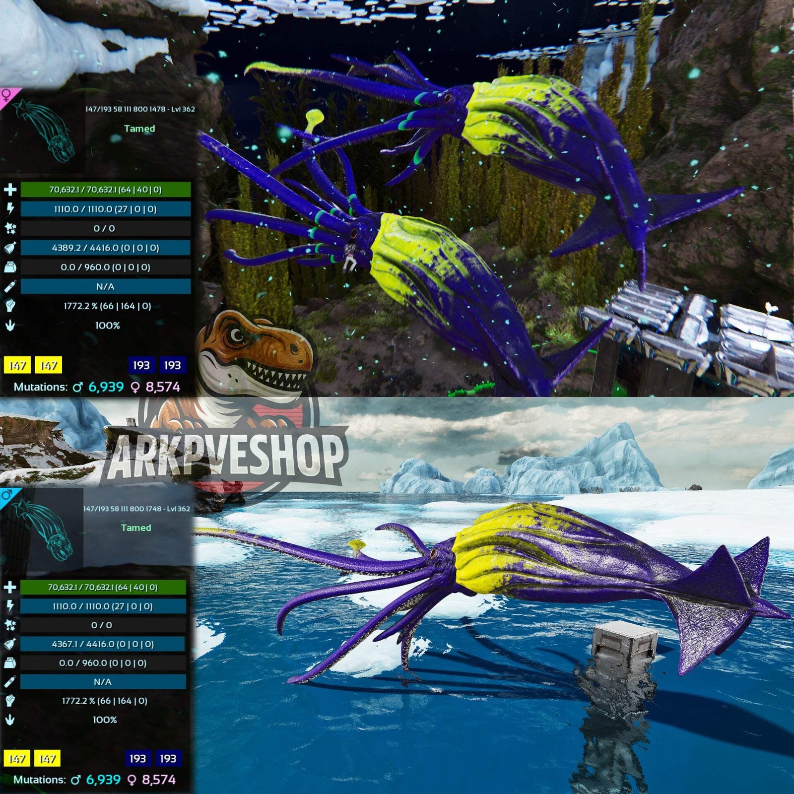 Tuso ASA PVE 🦖ARK Survival Ascended Tusoteuthis 1772%Melee Imprinted