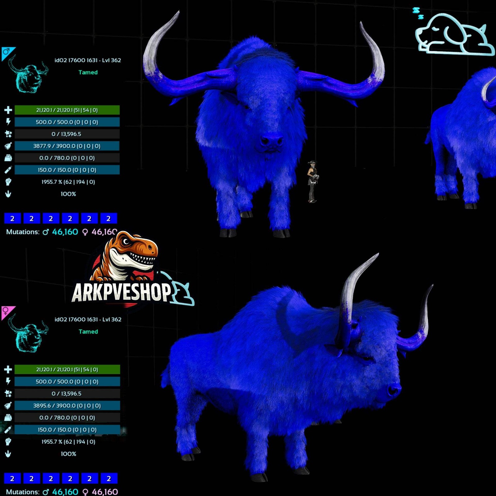 ASA PVE 🦖ARK Survival Ascended Bison 362Lvl 1955.7% Melee