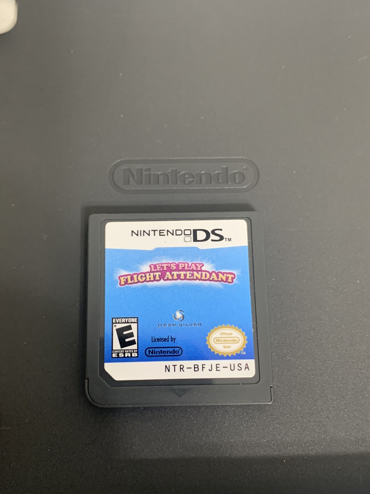 Let’s Play Flight Attendant DS Nintendo DS Cartridge Only