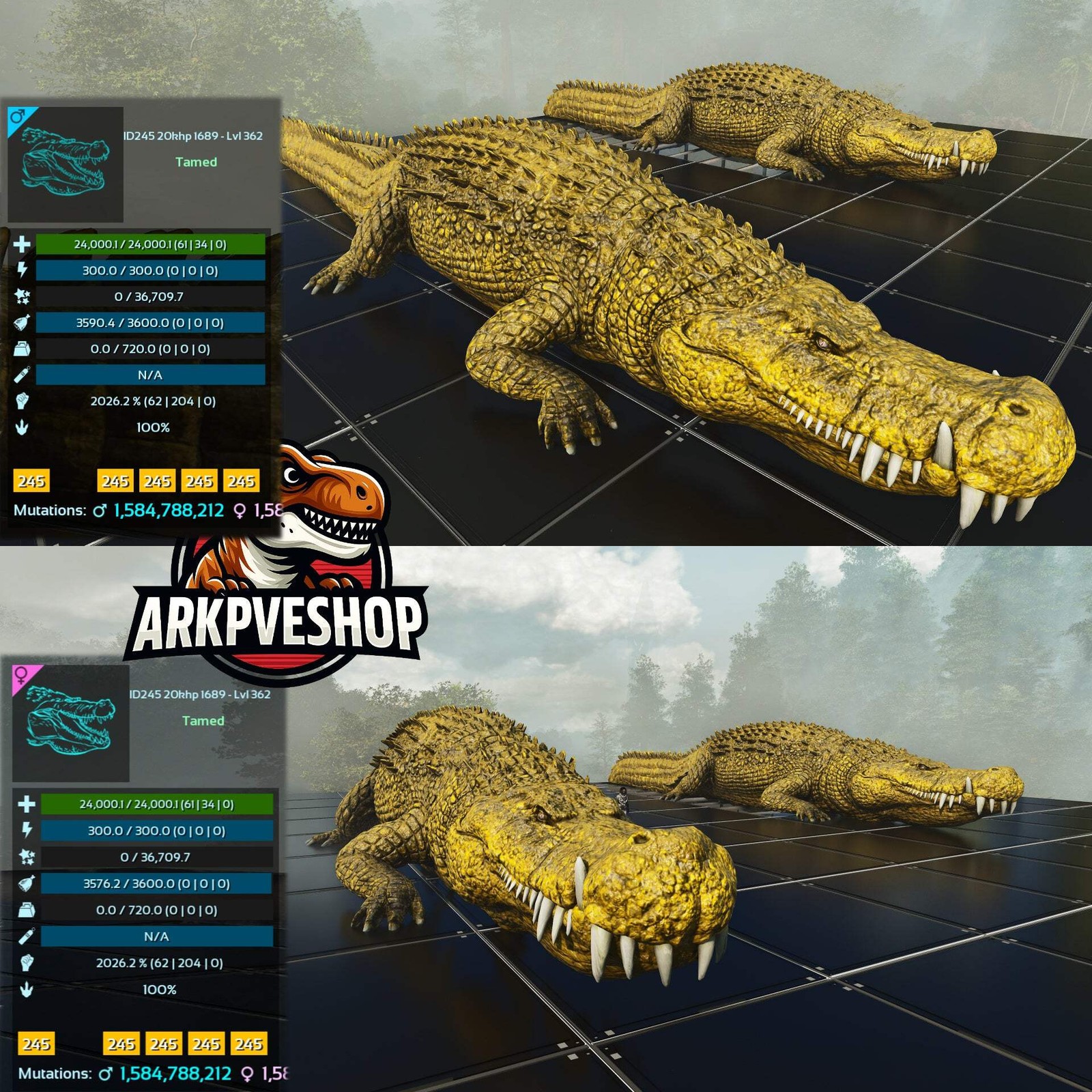 ASA PVE 🦖ARK Survival Ascended Deinosuchus Deino 2026m or 2428m Red Variant