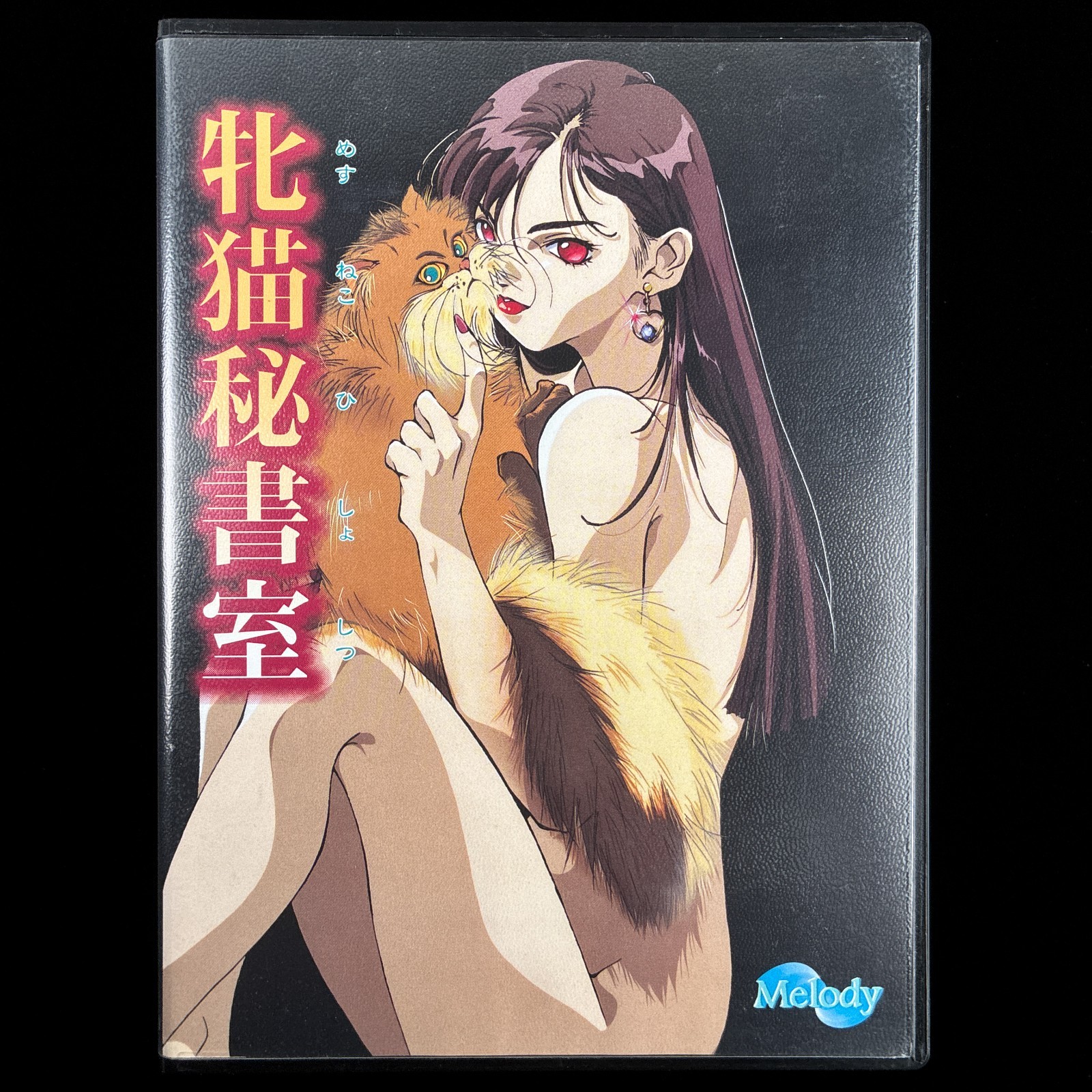 1995 Melody Mesuneko Hishoshitsu PC-9801 PC98 3.5″ VN Visual Novel Game Japan