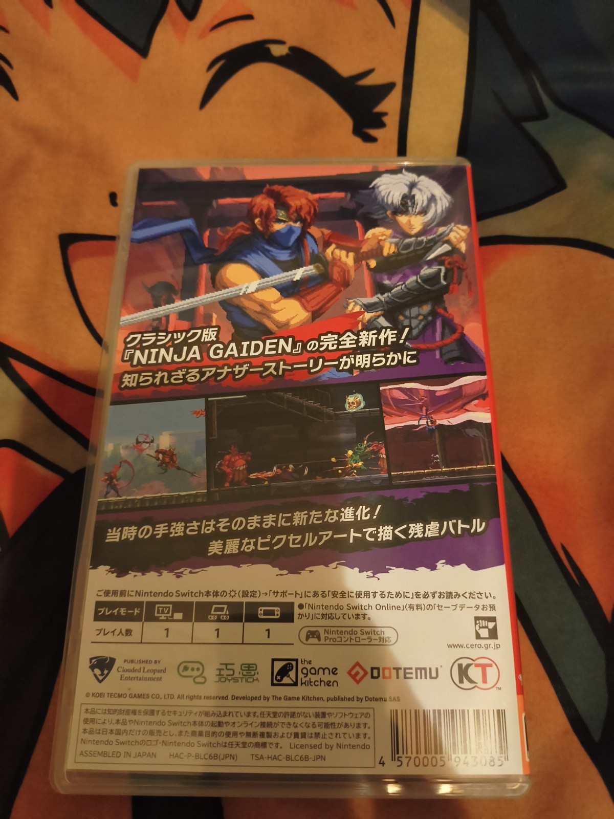 Ninja Gaiden: Ragebound Multi Language Nintendo Switch