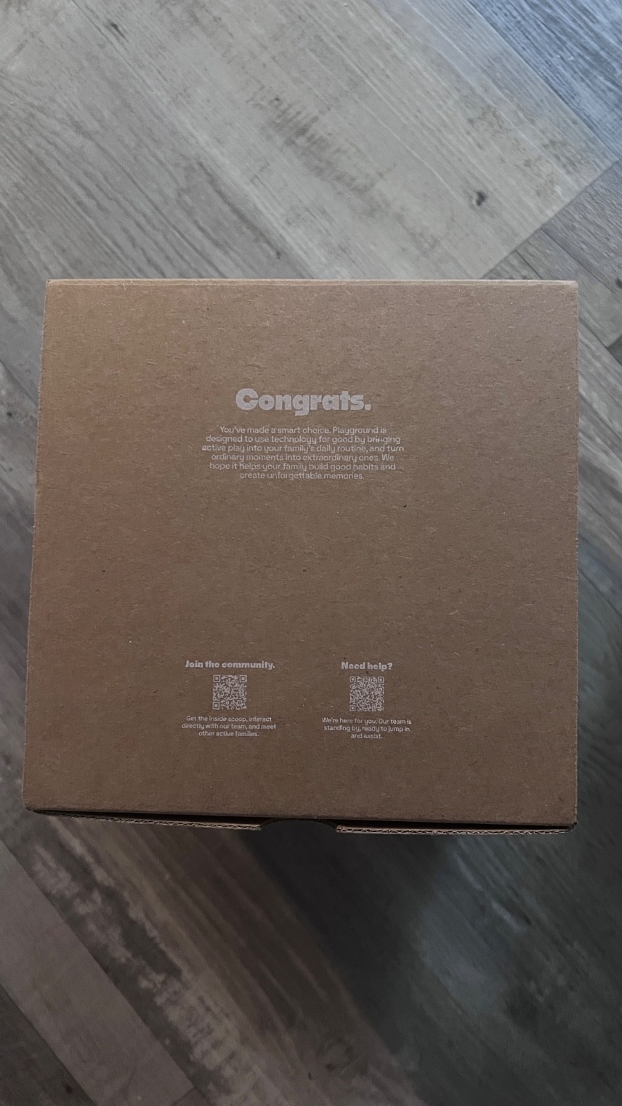 Nex playground system, with case unused brand new