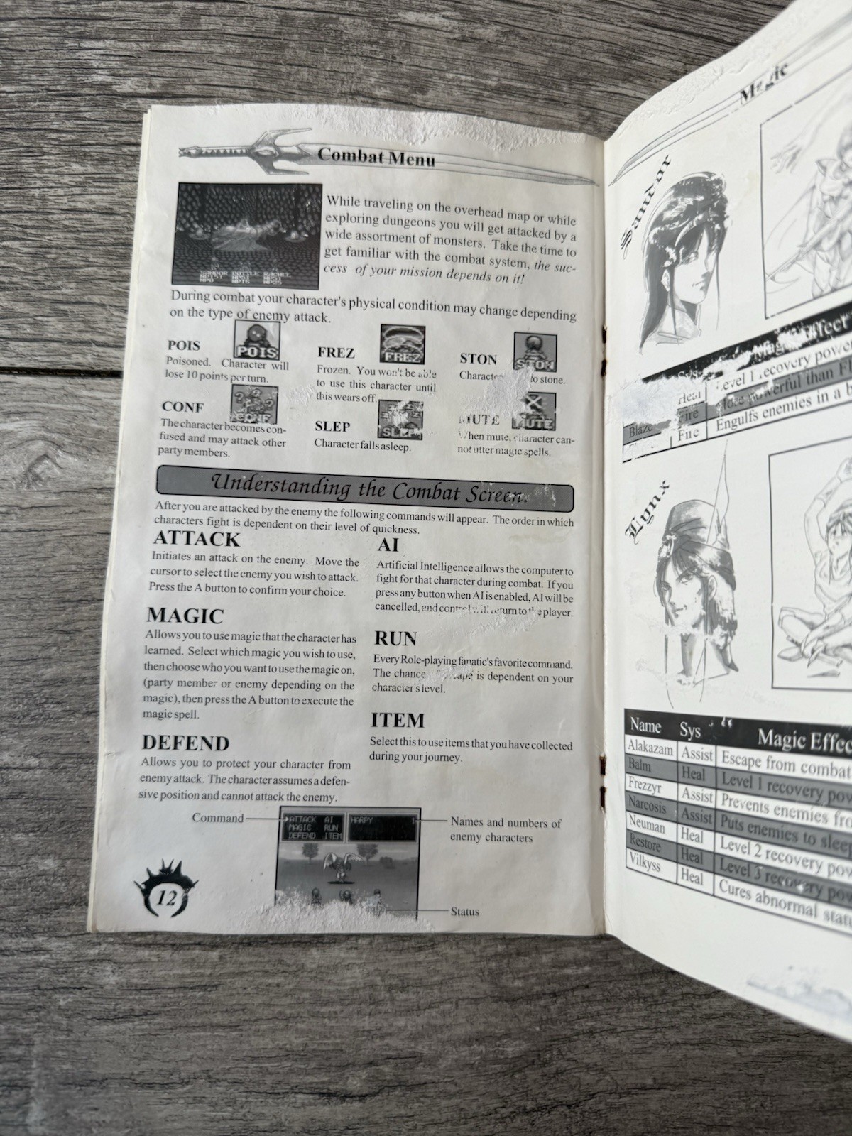 Vay | Sega CD, 1994 | Complete CIB w/ Manual, Reg Card (Water Damage)