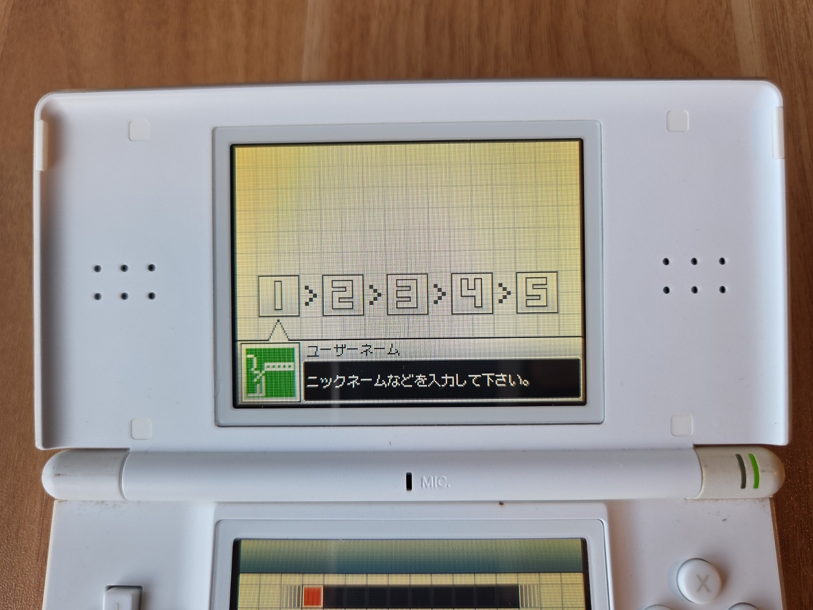 Nintendo DS Lite USG-001 Polar White w/ Charger US SELLER