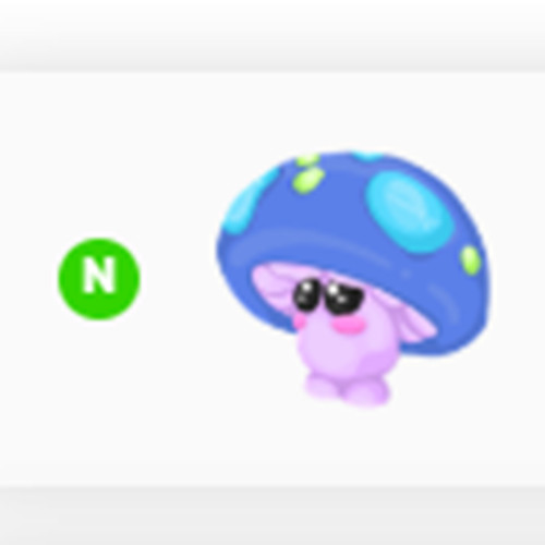 PET NEW HOT 🔥 N mushroom friend 🔥 The Trusted Store!!