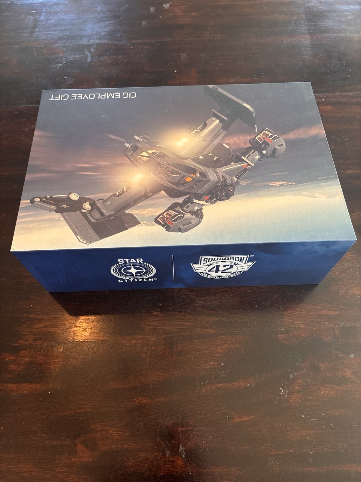 Star Citizen Drake Cutlass Black Model Ship