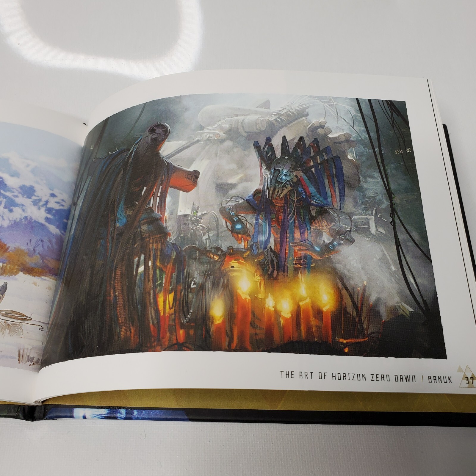 Horizon Zero Dawn : Aloy Collector’s Edition