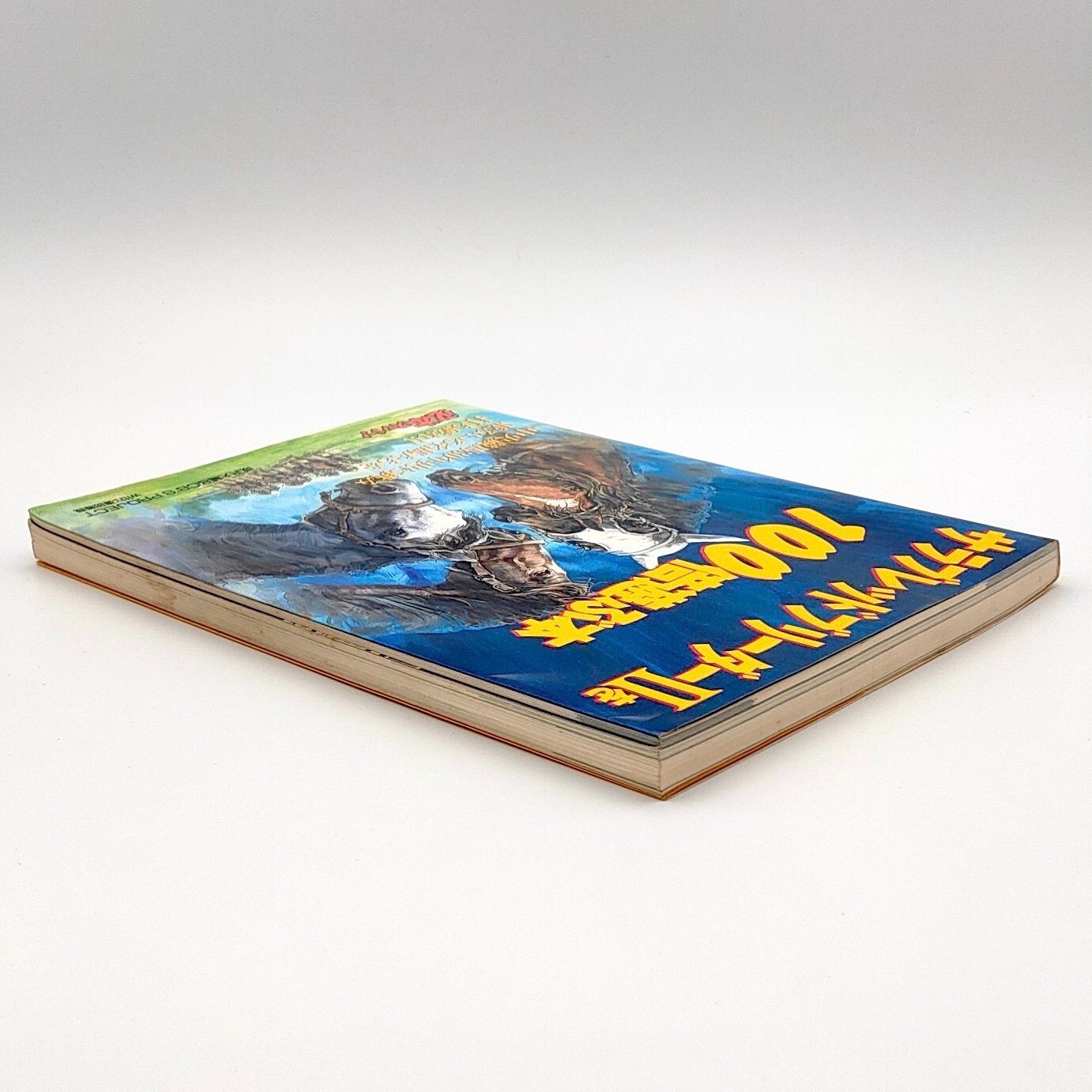 Thoroughbred Breeder 2 A book to play 100 times Guide Nintendo Super Famicom SFC
