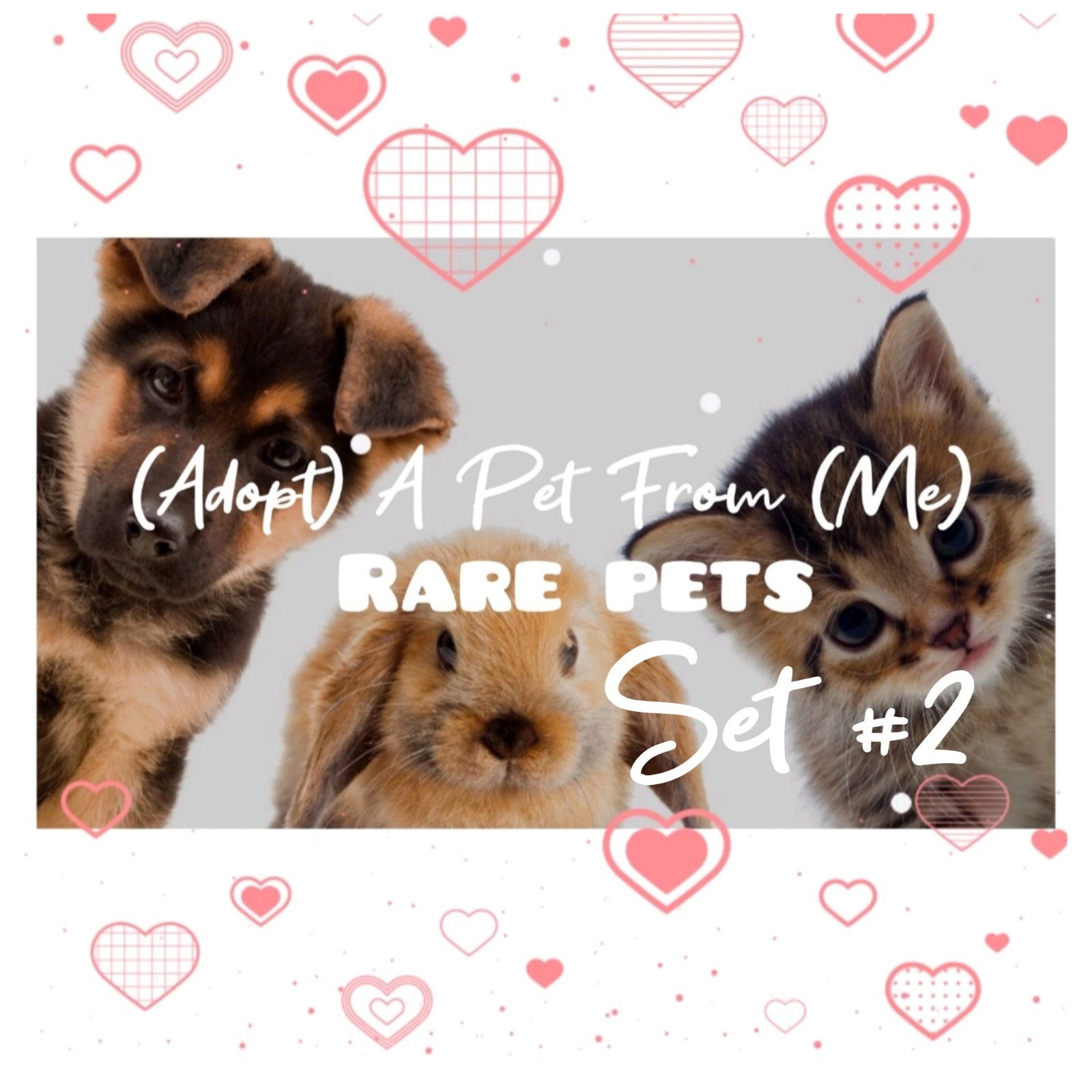 🌸ADOPT (All Stuff) Today!🌸 🌟Rare🌟 #2 🖤 FR 💜 F 💚 R 🩵 NP 💖