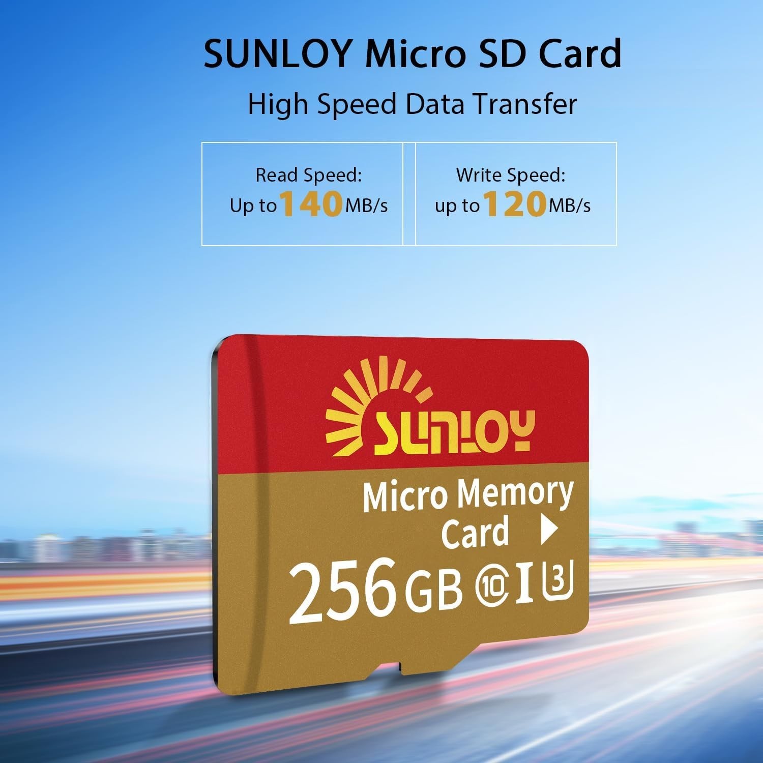 SD2Vita 6.0 PS Vita Memory Card Adapter with 256GB Micro SD Card, High Speed …