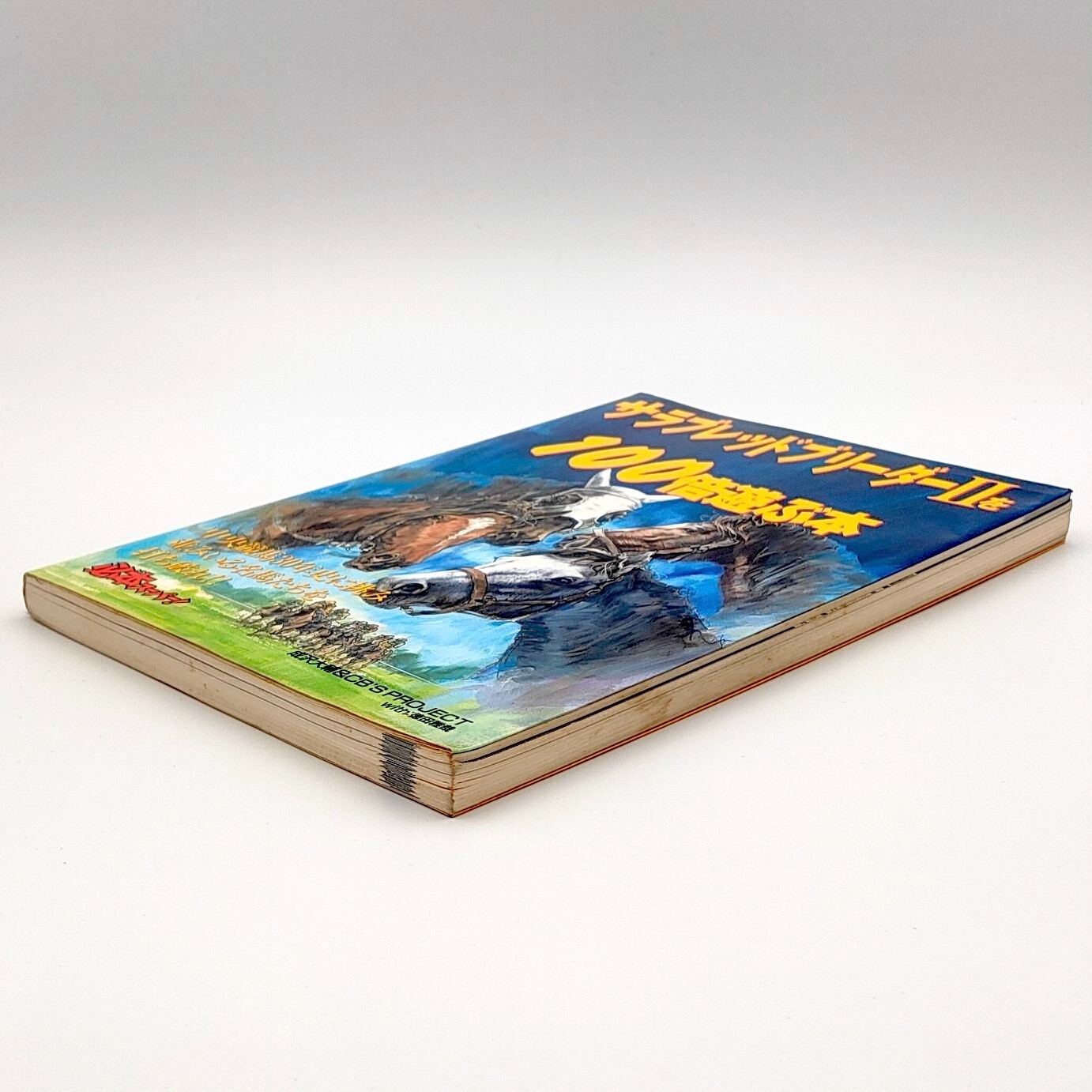 Thoroughbred Breeder 2 A book to play 100 times Guide Nintendo Super Famicom SFC
