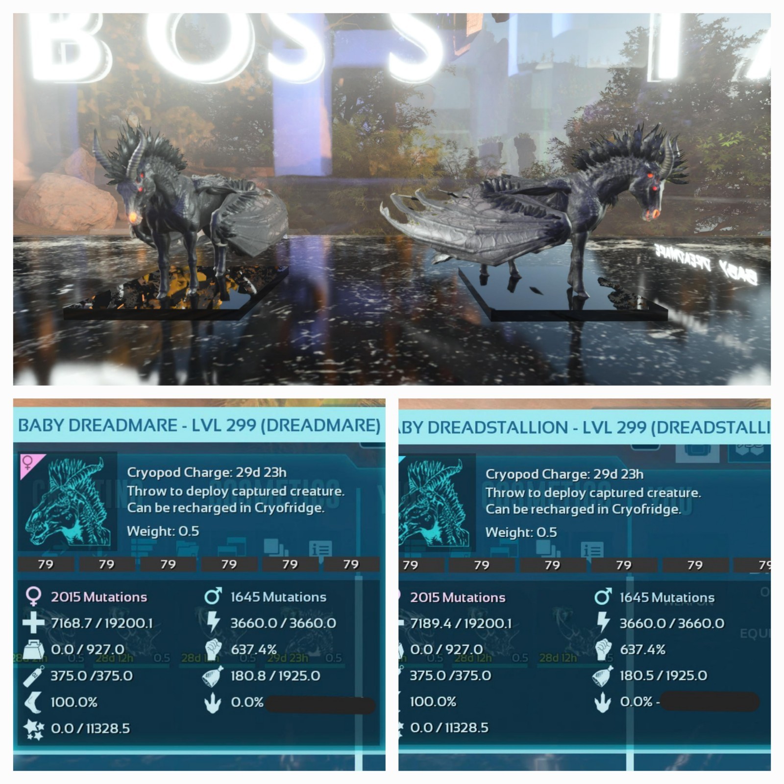 ARK ASA PVE OFFICIAL PAIR BABY DREADMARE BLACK #79 HIGH STATUS 19KHP 637 DMG