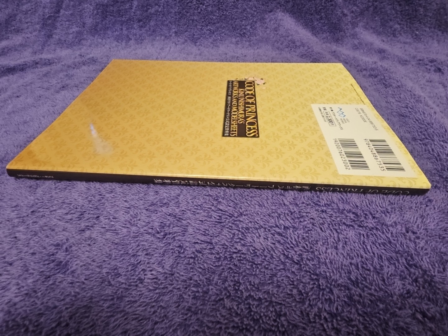 CODE OF PRINCESS Official Art Works KINU NISHIMURA 3DS Book 2012 US Seller
