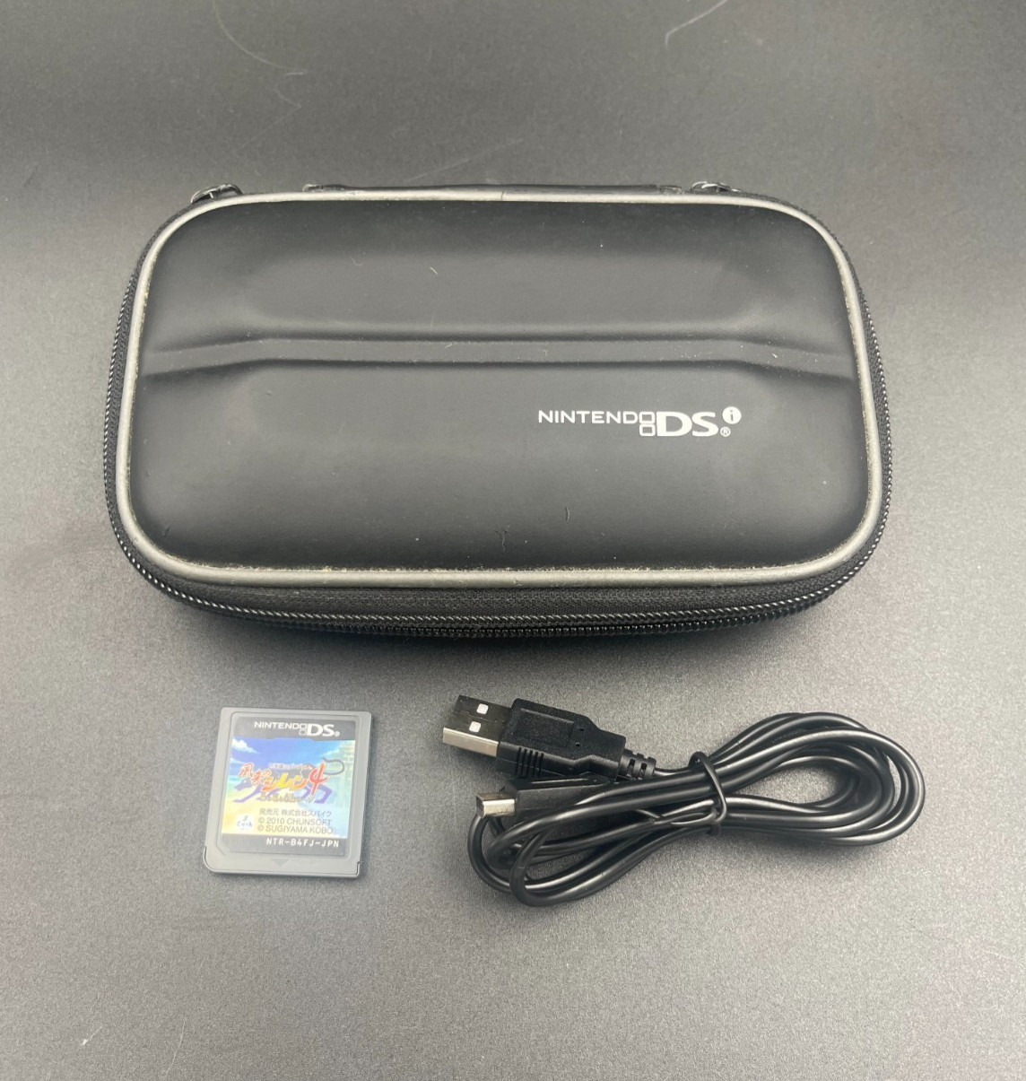 Nintendo DSi Metallic Blue Handheld Console with Charger Case From Japan