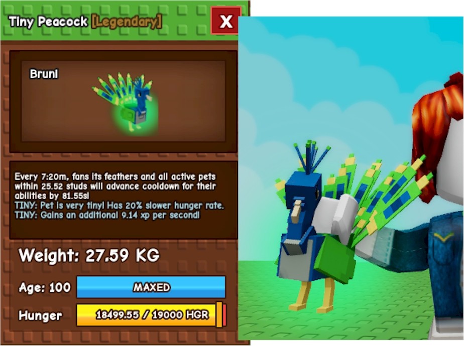Tiny Peacock Age 100 ‼️🌱🪴Grow A Garden🌿⚡CHEAPEST ‼️⚡FAST DELIVERY‼️
