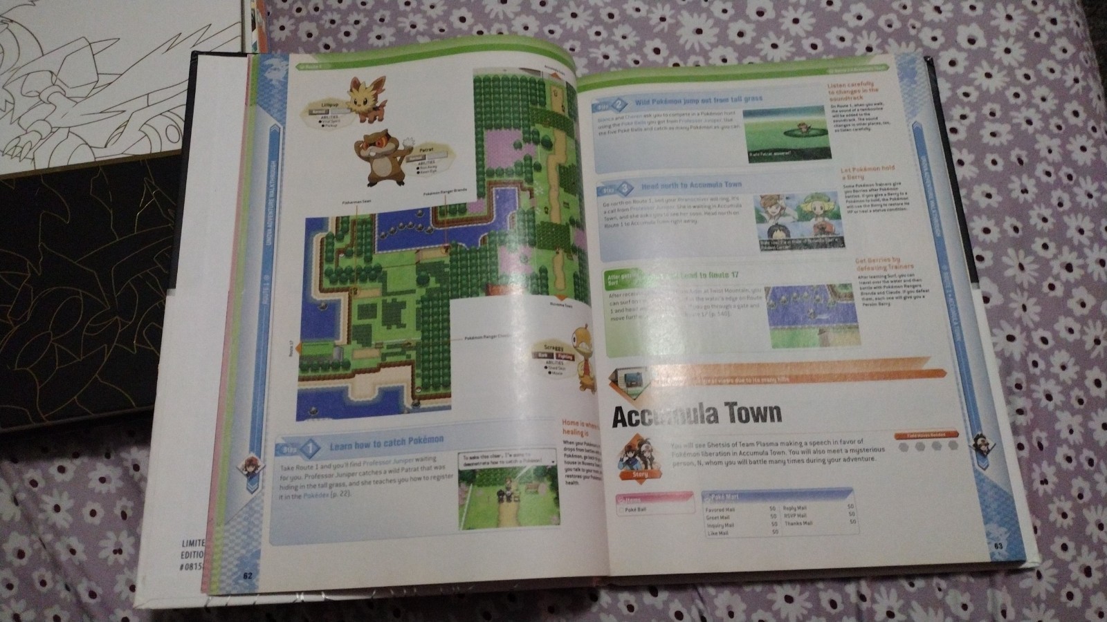 Pokemon Black & White LTD Collector’s Edition Strategy Guide & Unova Pokedex